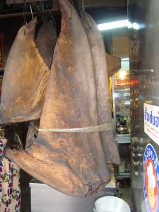 Shark Fin